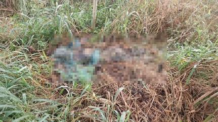 Corpo em decomposição é encontrado em matagal por populares.