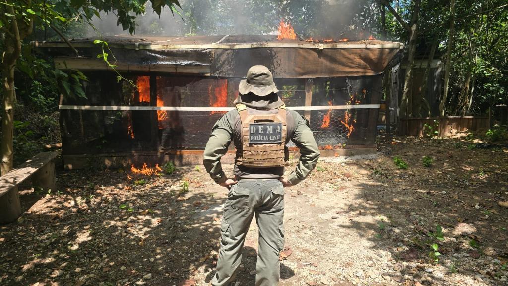 Operação resulta em prisões por crime ambiental e demolições de construções irregulares em Área de Preservação Permanente.