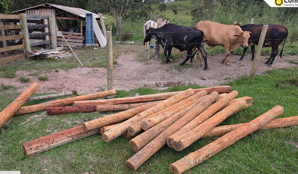 Polícia Civil esclarece furto em propriedade rural e recupera materiais furtados.