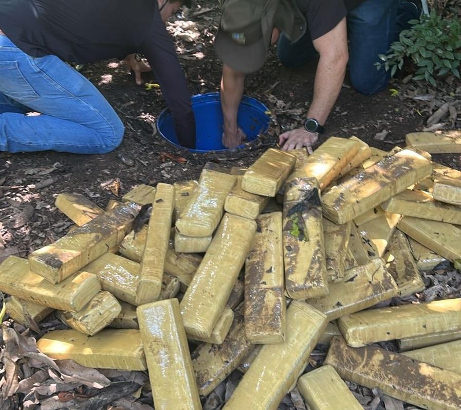 Polícia Civil prende faccionado e apreende. 305 tabletes de maconha enterrados nos fundos de imóvel