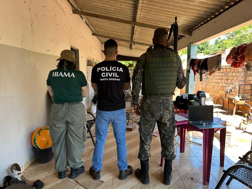 Operação contra o tráfico de fauna resulta na apreensão de 25 aves silvestres.