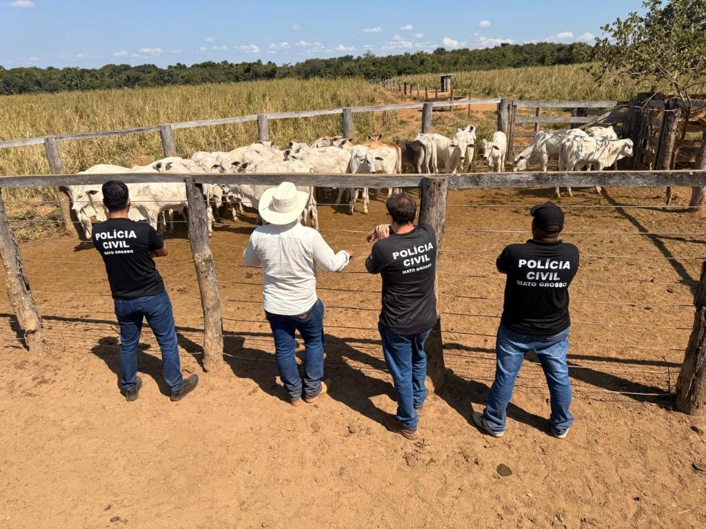 Operação integrada entre as Forças de Segurança Pública resulta na recuperação de rebanho furtado em propriedade rural.