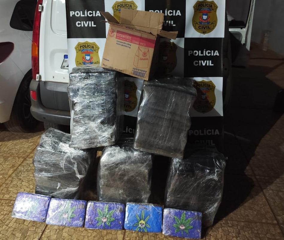 Polícia Civil apreende 178 tabletes de maconha e desarticula esquema de distribuição de drogas.