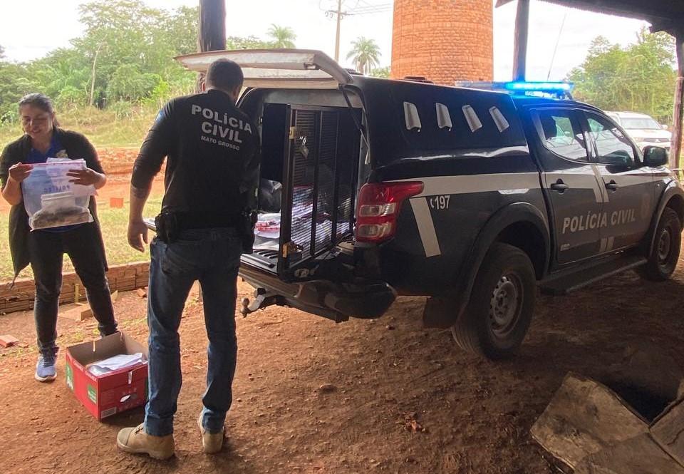 Polícia Civil incinera 60 quilos de entorpecentes apreendidos.