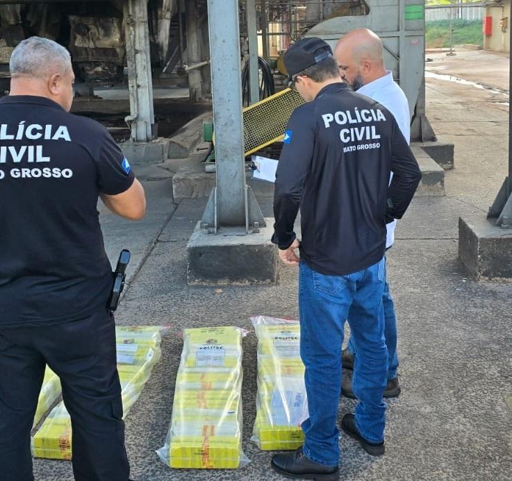 Polícia Civil incinera cerca de 109 quilos maconha apreendidos.