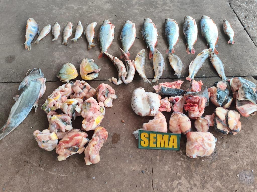 Sema e PM apreendem pescados irregulares em estabelecimento às margens do Rio.