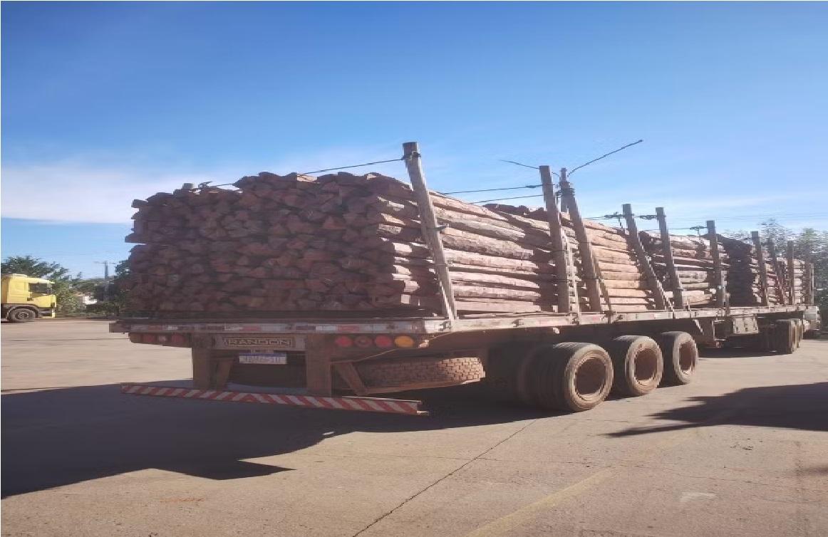 OPERAÇÃO TIMBER SHIELD PODE TER APREENDIDO A MAIOR CARGA DE COCAÍNA DA HISTÓRIA DO BRASIL.