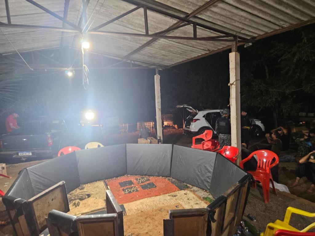 Polícia Civil desarticula rinha de galos e conduz 17 pessoas à delegacia.