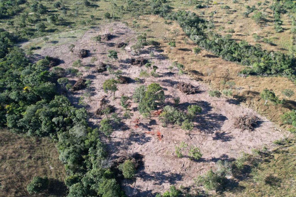 Batalhão Ambiental da PM embarga área após denúncia de desmatamento irregular.