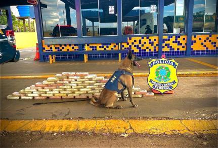PRF apreende cerca de 70 quilos de cocaína em rodovia no interior.
