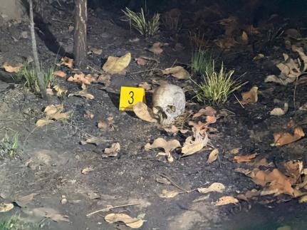 Crânio humano é achado em mata com sinais de carbonização.