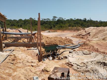Operação aplica R$ 6,67 milhões de multas por crime ambiental.