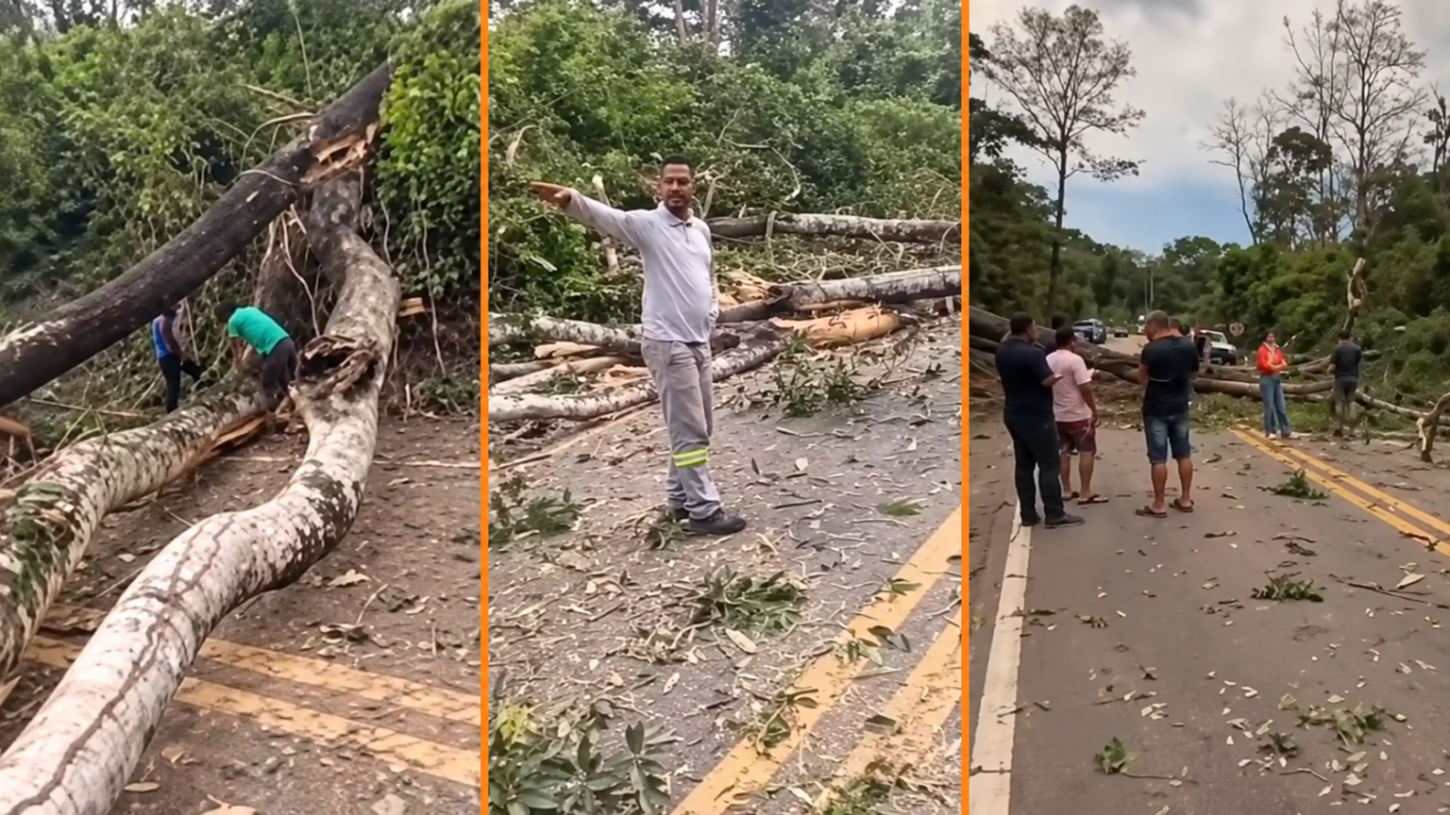 Chuva e vendaval derrubam árvores e bloqueiam BR-174 entre Comodoro e Nova Lacerda.