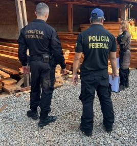 PF mira grupo envolvido no comércio ilegal de madeira nativa em 3 estados.