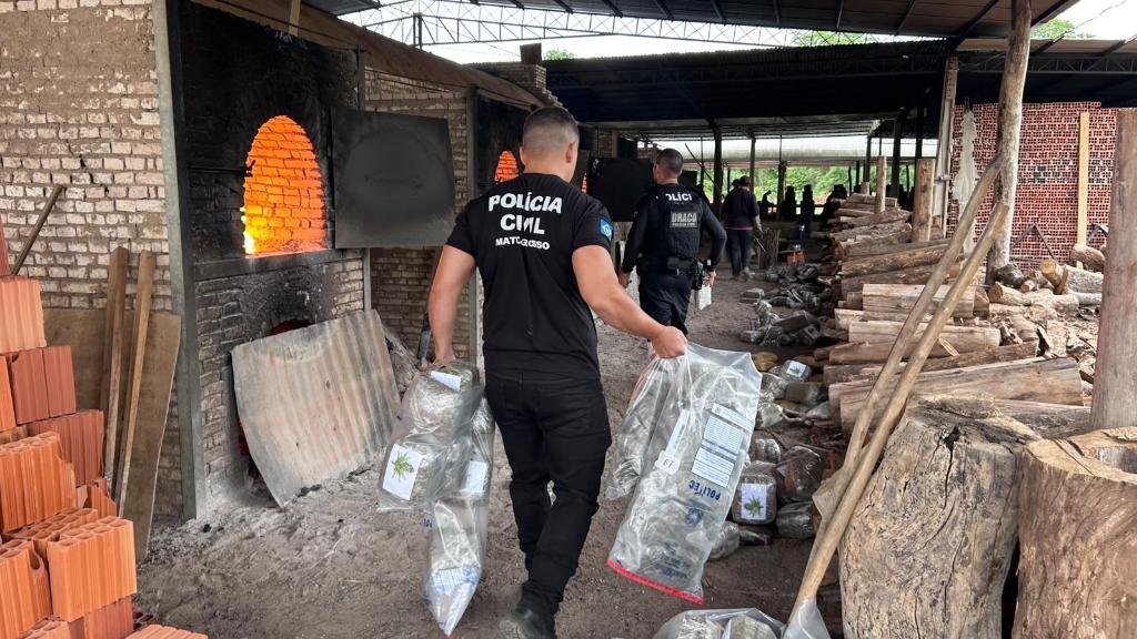 Polícia Civil destrói mais 400 quilos de entorpecentes em quinta incineração do ano em Cáceres.