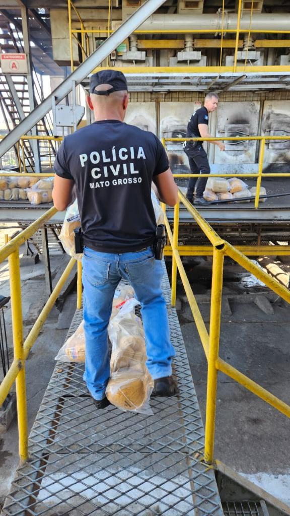 Polícia Civil incinera quase 220 quilos de entorpecentes apreendidos.