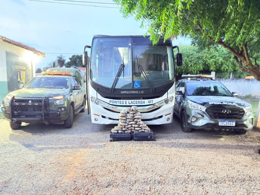 Polícia Militar e Gefron apreendem 31 tabletes de maconha escondidos em bagageiro de ônibus.