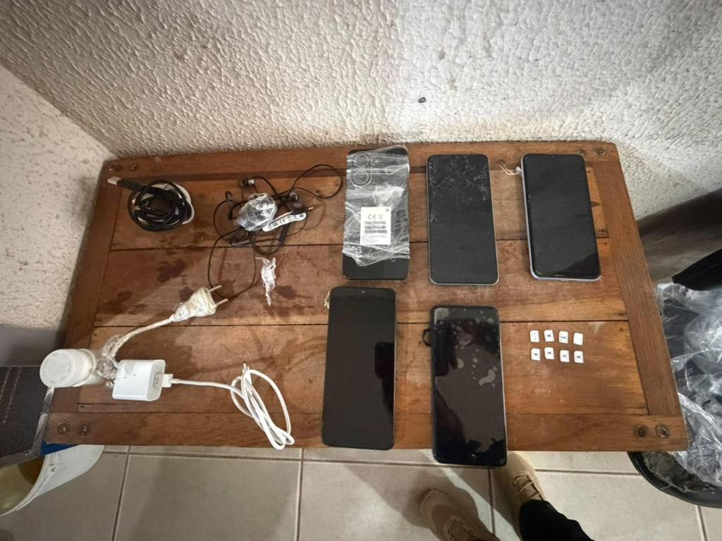 celular