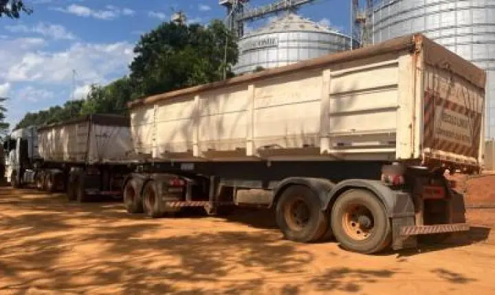 Caminhoneiro é preso tentando carregar soja com documento falso.