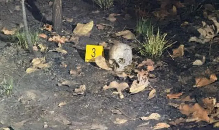 Crânio humano é achado em mata com sinais de carbonização.