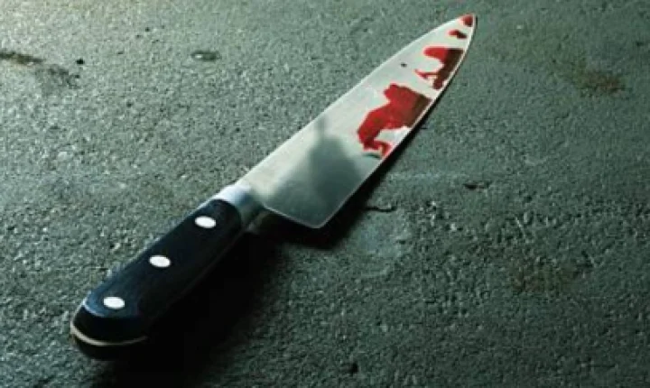 Mulher é esfaqueada pelo próprio irmão durante briga na madrugada.