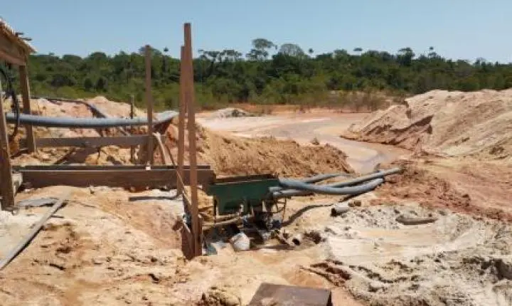 Operação aplica R$ 6,67 milhões de multas por crime ambiental.
