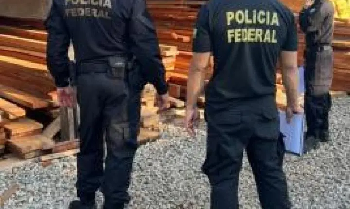 PF mira grupo envolvido no comércio ilegal de madeira nativa em 3 estados.