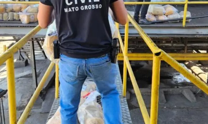 Polícia Civil incinera quase 220 quilos de entorpecentes apreendidos.