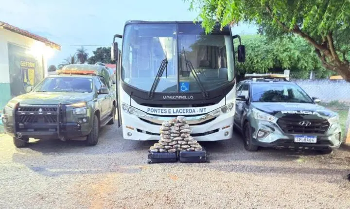 Polícia Militar e Gefron apreendem 31 tabletes de maconha escondidos em bagageiro de ônibus.